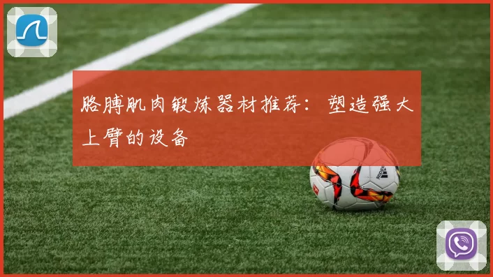 胳膊肌肉锻炼器材推荐：塑造强大上臂的设备