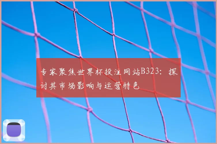 专家聚焦世界杯投注网站B323：探讨其市场影响与运营特色