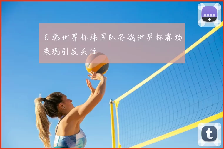 日韩世界杯韩国队备战世界杯赛场表现引发关注