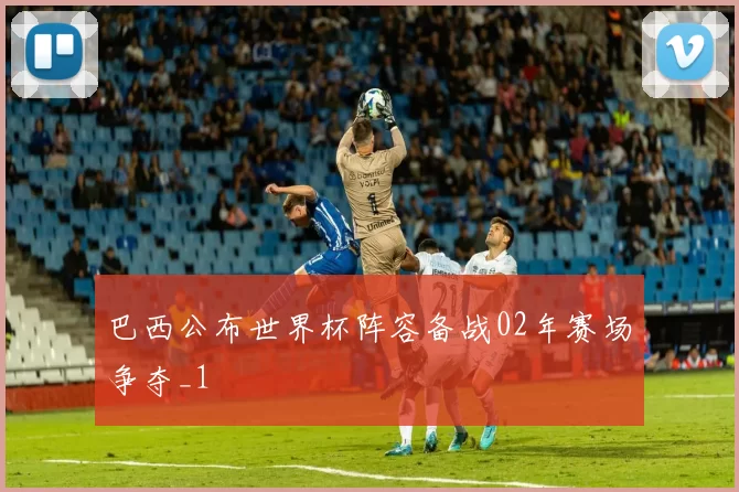 巴西公布世界杯阵容备战02年赛场争夺_1