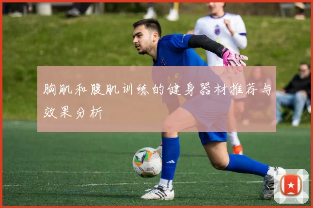 胸肌和腹肌训练的健身器材推荐与效果分析