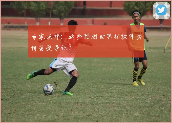 专家点评:这些预测世界杯软件为何备受争议?