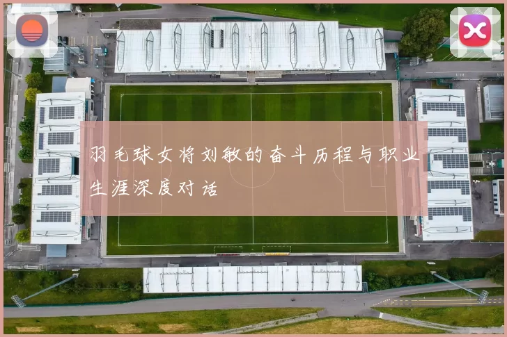 羽毛球女将刘敏的奋斗历程与职业生涯深度对话