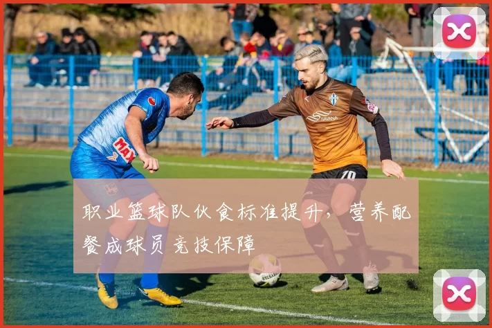 职业篮球队伙食标准提升，营养配餐成球员竞技保障