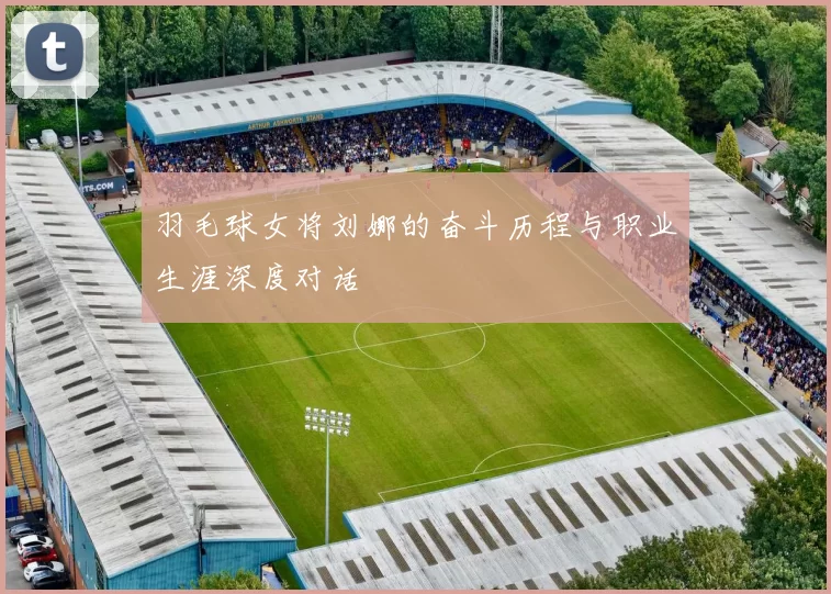 羽毛球女将刘娜的奋斗历程与职业生涯深度对话