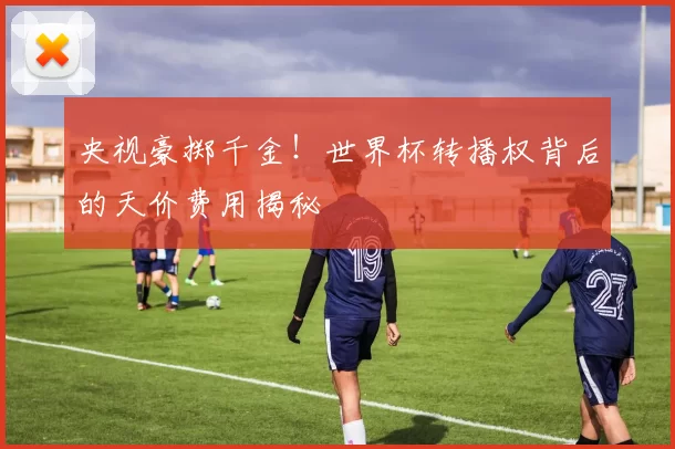 央视豪掷千金！世界杯转播权背后的天价费用揭秘