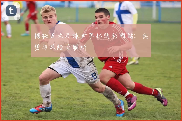 揭秘五大足球世界杯购彩网站：优势与风险全解析