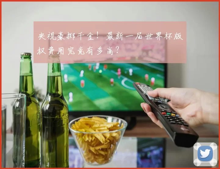 央视豪掷千金！最新一届世界杯版权费用究竟有多高？