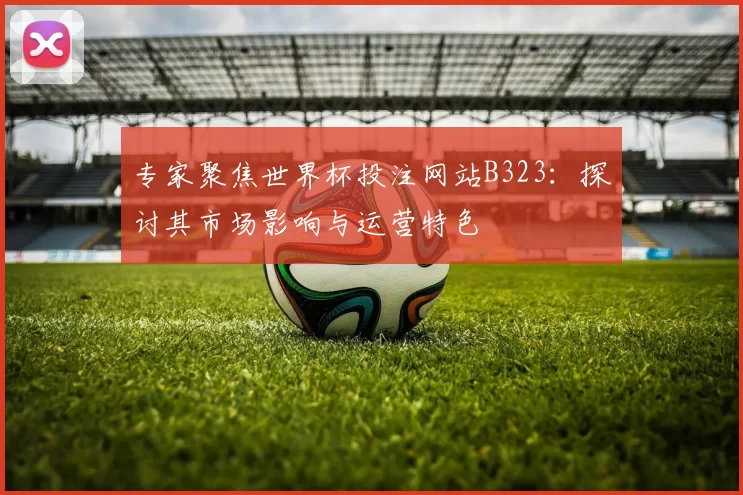 专家聚焦世界杯投注网站B323:探讨其市场影响与运营特色