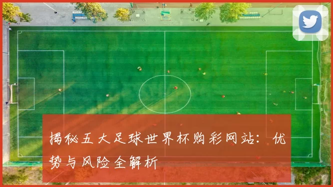 揭秘五大足球世界杯购彩网站：优势与风险全解析