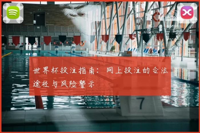 世界杯投注指南:网上投注的合法途径与风险警示