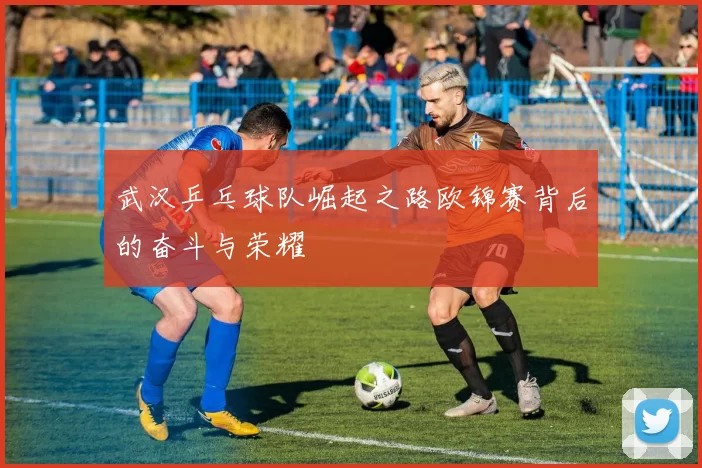 武汉乒乓球队崛起之路欧锦赛背后的奋斗与荣耀